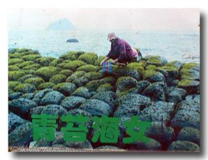 海苔を取る海女さんの写真
