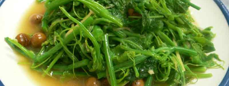 豆苗の炒め物 台湾