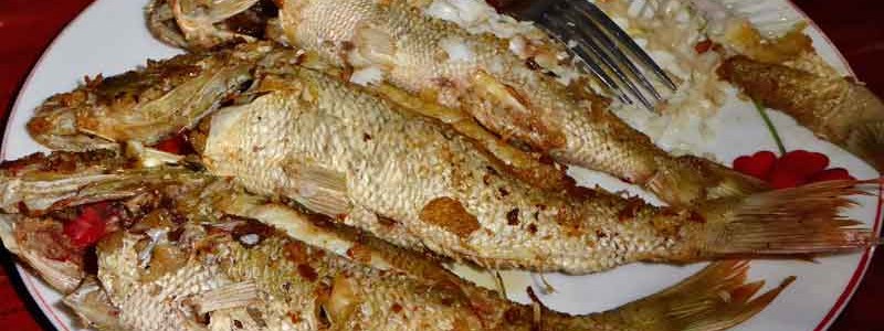 イカンバカール 焼き魚
