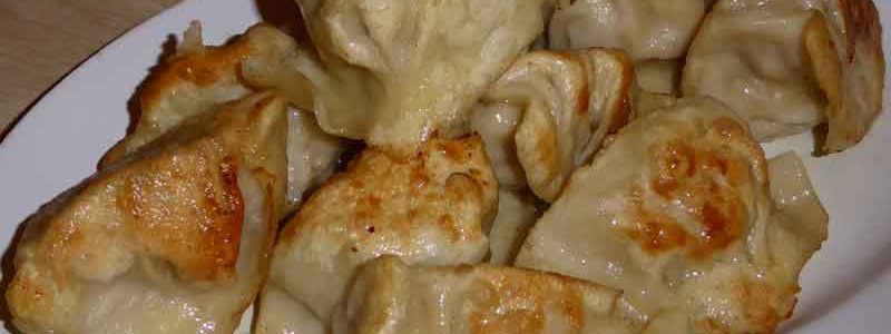 俺の餃子の焼き餃子