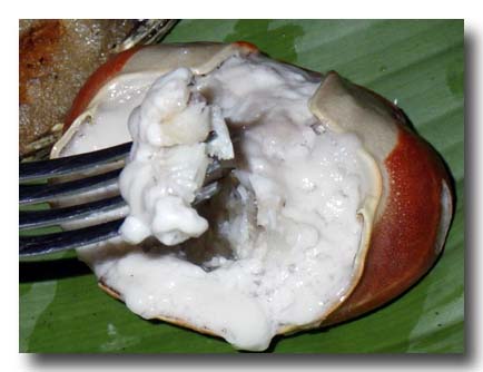 ウカエブukaeb マングローブ蟹のココナッツ煮　フォークですくう
