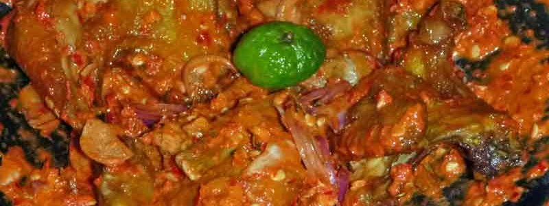 アヤム・プルチン鶏肉の絡み合え