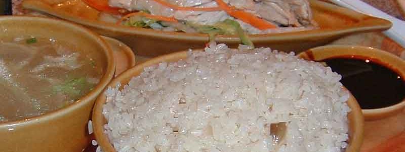 海南チキンライス hainan chicken rice