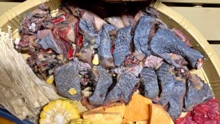 ぶつ切りにされた烏骨鶏gà ácの写真